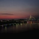 일동탄정형외과의원 | 허리, 골반 통증 🏥 정형외과 후기