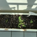 카페모텔 이미지