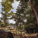 원두막2 이미지