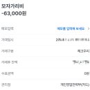 모자가리비 이미지