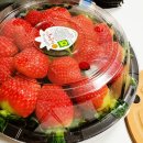 영신청과 이미지