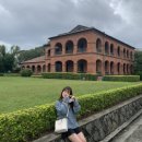 포토스트리트&미미오락실 | 6월 대만여행 3박 5일 1일차 코스 : 단수이 스린야시장 가품양주 누가크래커