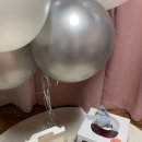 슈디케이크 이미지