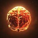 노형365준의원 이미지