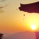 행정사무소이상 이미지