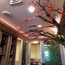 아사히일식 이미지