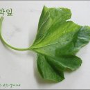 호박꽃식품 이미지