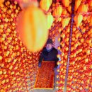 지리산곰실곶감농원 이미지