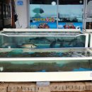 곰소초교 | 부안백반맛집 먹고 횟집 제대로 즐긴 부안현지인맛집