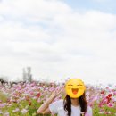 창내2리마을회관 이미지