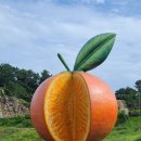 신효동-25 이미지