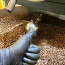 오송유치원 이미지