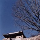 독용산성 Daum카페