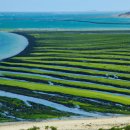 성류굴 관광지 이미지