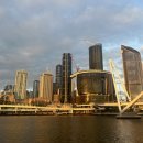 파인(143) 이미지