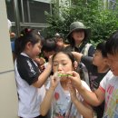 평리초등학교 이미지