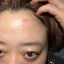 라브르경락
