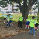 곡성교육지원청 섬진강 생태환경 교육 실시[미래교육신문] 이미지