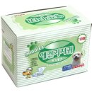 왈왈애견 이미지