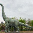 꿈의 동산 이미지