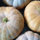 행복나눔마트 이미지