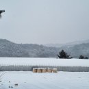 솔숲펜션 이미지