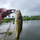 소라보체육공원 이미지