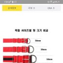 한스켄넬 - 남양주시 양진로 385 | 한스켄넬