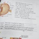 3권 24장 감각계 135p 망막세포의 신경전달물질 이미지