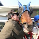 후덕목장 이미지