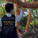 성읍리-18 이미지