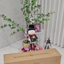 180 | 크리스마스 트리 풀세트 루시아이 테디베어 180cm 내돈내산 후기