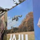 자주적관람 | JAJU 팝업 전시 | 신세계 자주엣홈 2025 리브랜딩 전시 ‘자주적인 집’ 예약 관람 후기