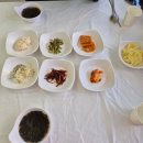 구구집 | 속초물회맛집 현지인맛집 점심식사로 추천하는 "구구집" 방문후기