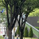 엑스포로123번길(유성-107) 이미지