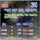 2024년 2월 17일(토) 강원 평창군~강릉시 "능경봉~고루포기산" 주변의 날씨예보 이미지