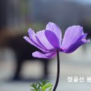 전쟁은 여호와께 속한 것 이미지