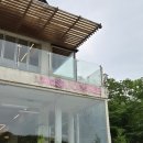 스테이인더가든