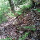 관리농장 이미지