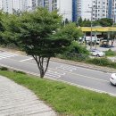 반석주유소 이미지