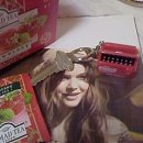 쿨 마 트 이미지