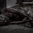 의료법인 실로암 의료재단 이미지