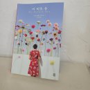 강남역 7번출구 앞 | 프레이타스와 협업한 표지 《미 비포 유》 10주년 개정판 득템 in 알라딘 중고 서점 강남역 7번 출구 앞