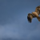 세보식품 이미지