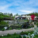 깊은산속 옹달샘 이미지