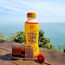 임포비치펜션 | [여수 뚜벅이여행] 여수 향일암 _버스시간표, 관광 소요시간 자세히, 여수 가볼만한 곳