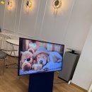 테일러퍼피 이미지