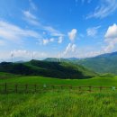 양지목장 이미지