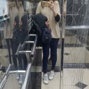 에델바이스 노래방 이미지