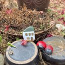 숲속 아지트 | 홍천펜션 숲속 아지트에서 여행즐기고 크리마스 분위기 즐기고!!